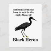 Carte Postale Héron noir aigrette oiseau faune (Devant)