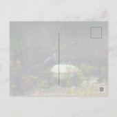 Carte Postale Heron P9687 (Dos)