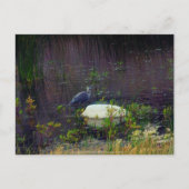 Carte Postale Heron P9687 (Devant)