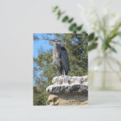 Carte Postale Héron porteur (Debout devant)