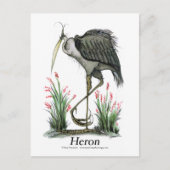 Carte Postale Heron, tony fernandes (Devant)
