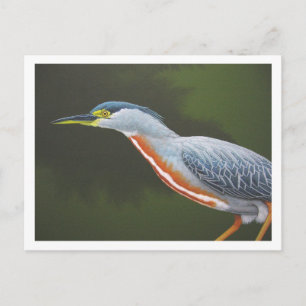 Carte Postale Héron trié