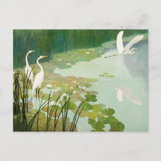 Carte Postale Hérons en été par Newell Convers Wyeth (Devant)