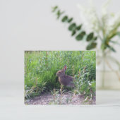 Carte Postale Héros arctiques (Debout devant)