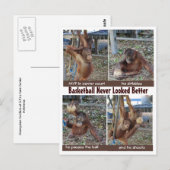 Carte Postale Héros du basket-ball (Devant / Derrière)