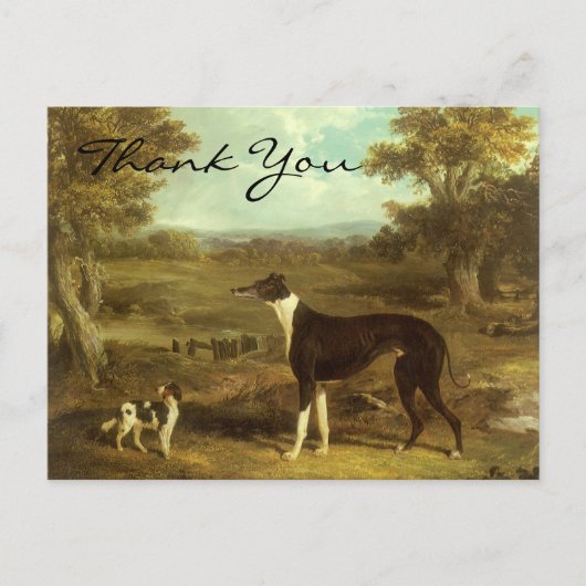 Carte Postale Herring's Greyhound and Spaniel; Doctor Fop (Devant)