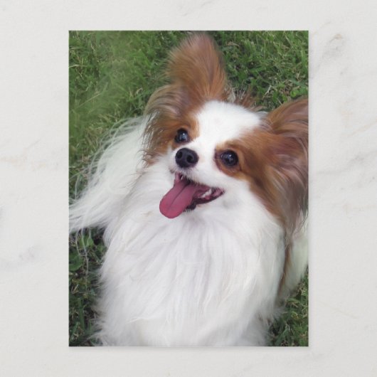 Carte Postale Hershey Kiss Hero Madi Merchandises (Devant)