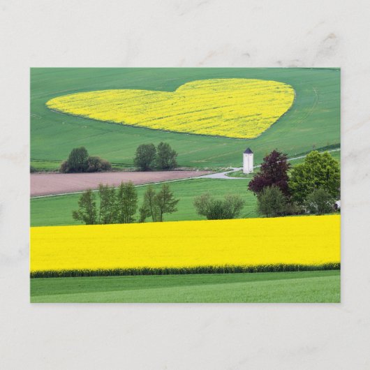 Carte Postale Herzlich (Devant)