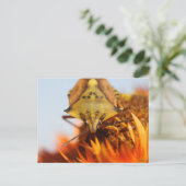 Carte Postale Hétéroptère (Debout devant)