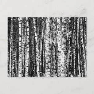 Carte Postale Hêtre, blanc et gris charbon / gris