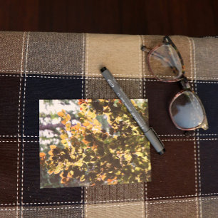 Carte Postale Hêtre commun européen