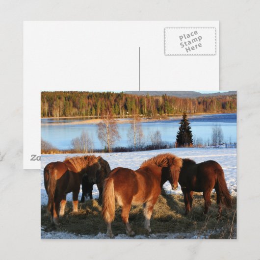 Carte Postale Heure d'alimentation (Devant / Derrière)