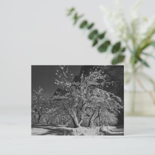 Carte Postale Heure de la nuit d'hiver (Debout devant)