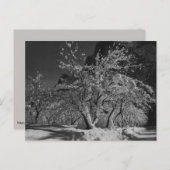 Carte Postale Heure de la nuit d'hiver (Devant / Derrière)