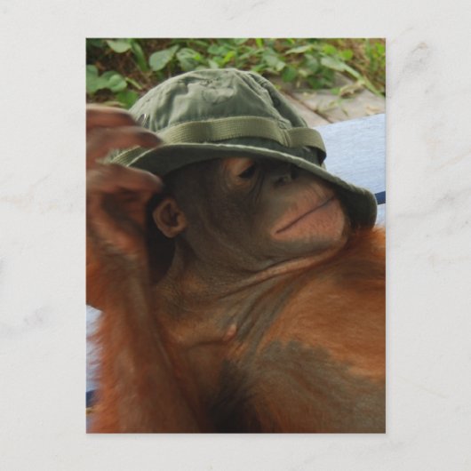 Carte Postale Heure de la sieste du bébé animal (Devant)