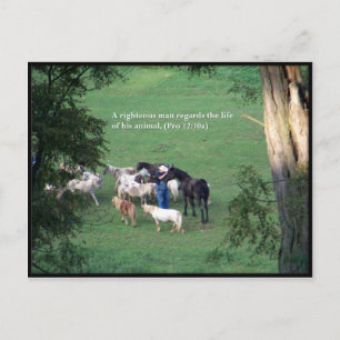 Carte Postale Heure de modification