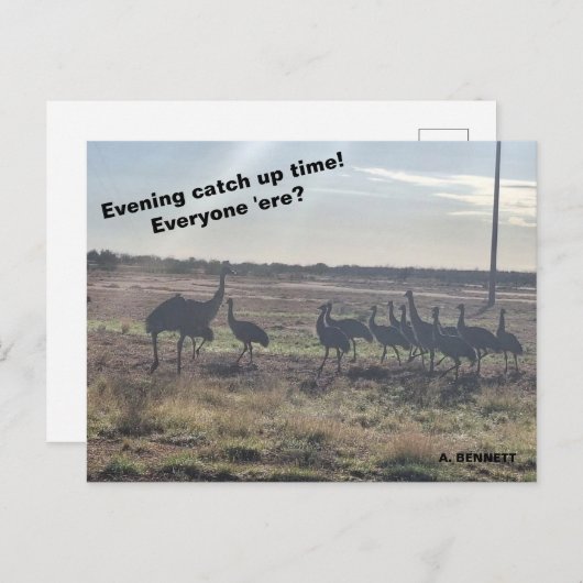 Carte Postale Heure de rattrapage du soir (Devant / Derrière)