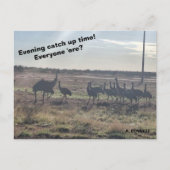 Carte Postale Heure de rattrapage du soir (Devant)