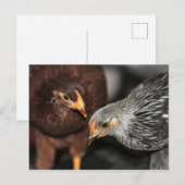 Carte Postale Heure de transfert (Devant / Derrière)