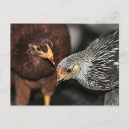 Carte Postale Heure de transfert (Devant)