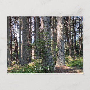 Carte Postale Heure de Turquie !