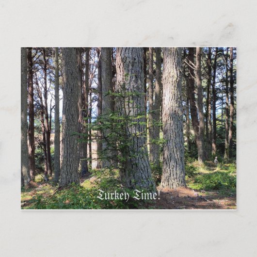 Carte Postale Heure de Turquie ! (Devant)