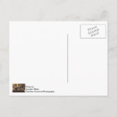 Carte Postale Heure des écureuils (Dos)