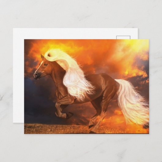 Carte Postale Heure d'or (Devant / Derrière)