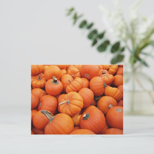 Carte Postale Heure du citrouille (Debout devant)