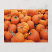 Carte Postale Heure du citrouille (Devant)