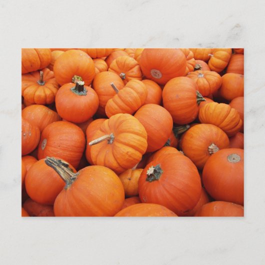 Carte Postale Heure du citrouille (Devant)