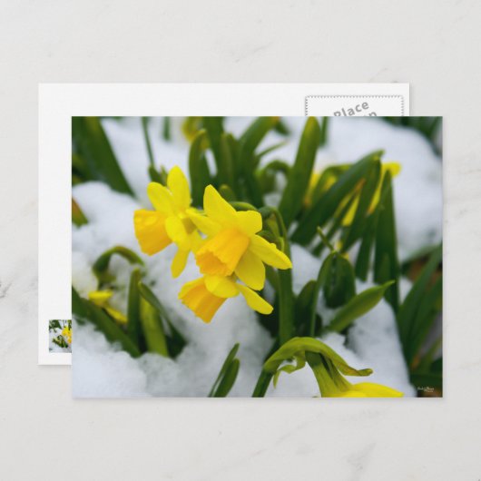 Carte Postale Heure du printemps (Devant / Derrière)