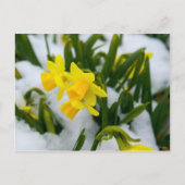 Carte Postale Heure du printemps (Devant)