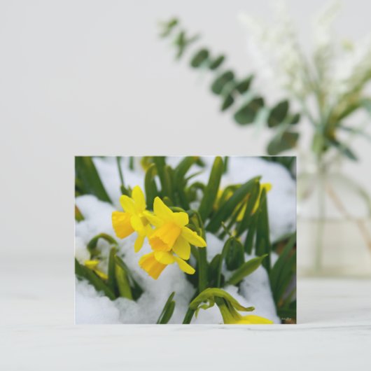 Carte Postale Heure du printemps (Debout devant)