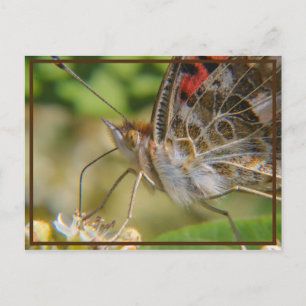 Carte Postale Heure du printemps