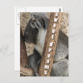 Carte Postale Heure du saut (Devant / Derrière)