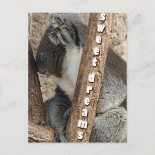 Carte Postale Heure du saut