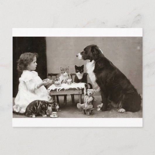 Carte Postale Heure du thé (Devant)