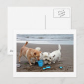 Carte Postale Heures de récréation sur la plage (Devant / Derrière)