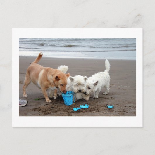 Carte Postale Heures de récréation sur la plage (Devant)