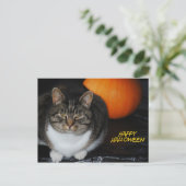 Carte postale heureuse de Halloween de chat et de (Debout devant)