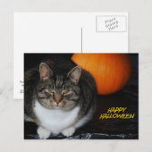 Carte postale heureuse de Halloween de chat et de (Devant / Derrière)