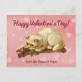 Carte postale Heureuse Sainte-Valentin Cat (Devant)