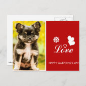 Carte postale Heureuse Sainte-Valentin Chihuahua P (Devant / Derrière)
