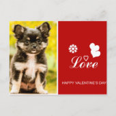 Carte postale Heureuse Sainte-Valentin Chihuahua P (Devant)