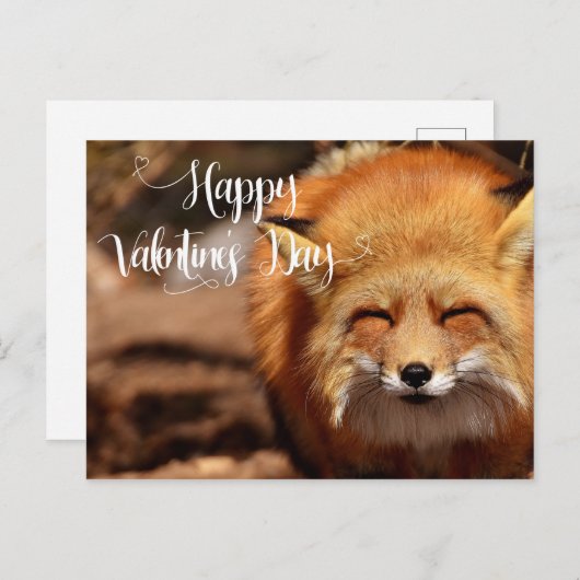 Carte Postale Heureuse Sainte-Valentin Fox (Devant / Derrière)