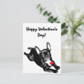 Carte postale Heureuse Sainte-Valentin French Bull (Debout devant)