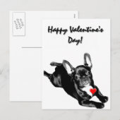 Carte postale Heureuse Sainte-Valentin French Bull (Devant / Derrière)