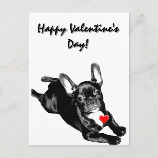 Carte postale Heureuse Sainte-Valentin French Bull (Devant)