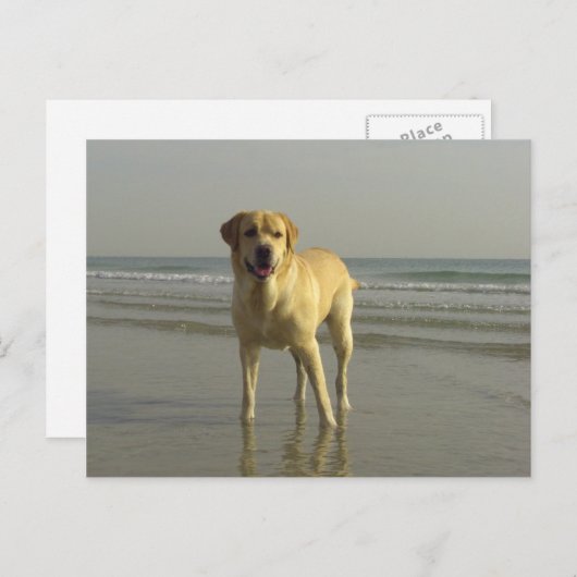 Carte Postale Heureux (Devant / Derrière)